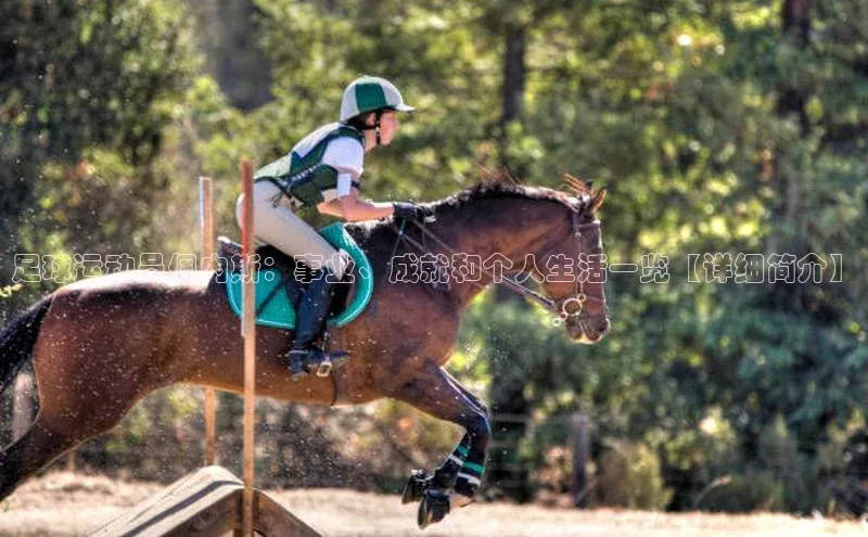 悟空体育网页彩讯股份足球运动员佩内斯：事业、成就和个人生活一览【详细简介】
