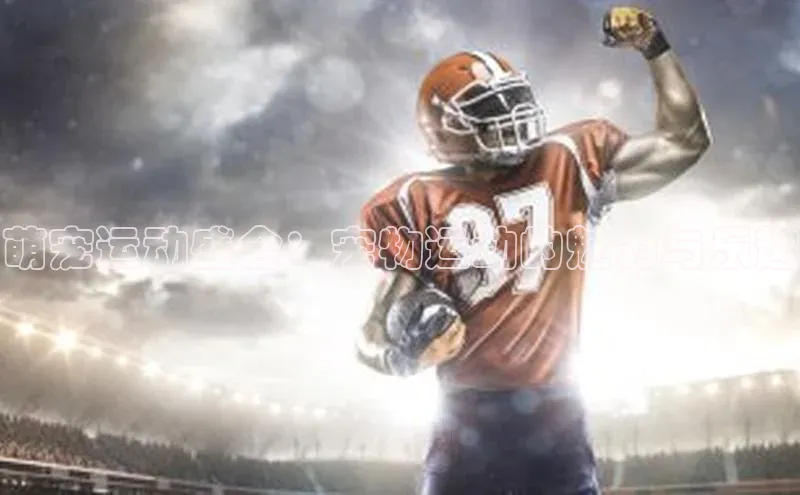 萌宠运动盛会：宠物运动的魅力与乐趣