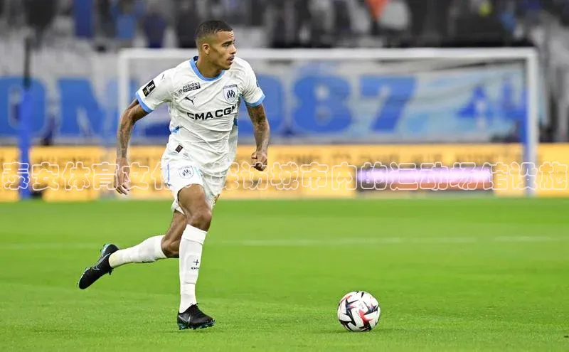 泰安体育文化：探访城市内的运动场馆设施