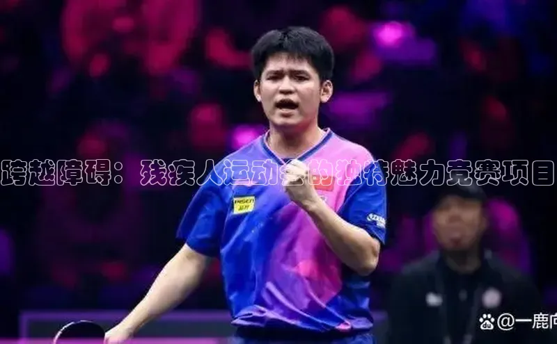 跨越障碍：残疾人运动会的独特魅力竞赛项目