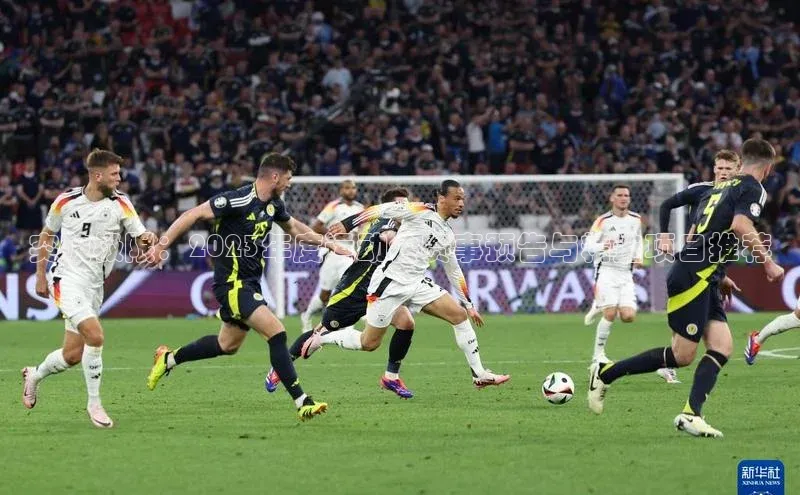 突破极限：2023年度运动会赛事预告与精选项目推荐