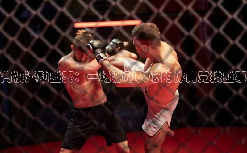 高校运动盛宴：一场激动人心的体育竞技盛事