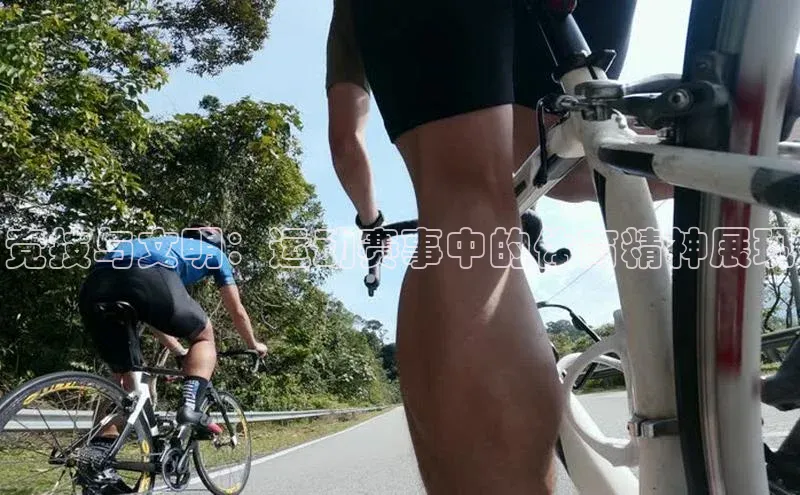 竞技与文明：运动赛事中的体育精神展现