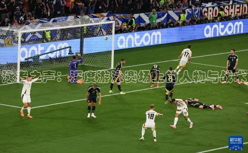 泳者之声：深度游泳赛场上的人物与战术