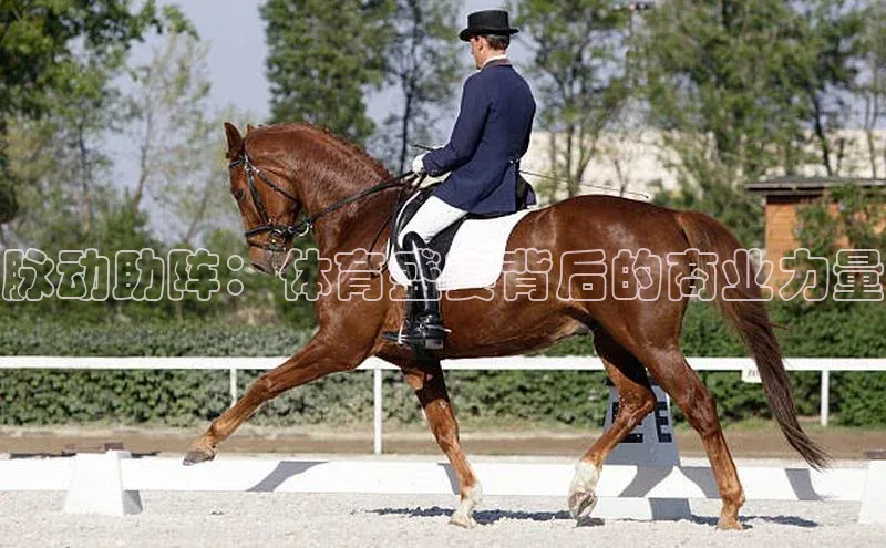 脉动助阵：体育盛宴背后的商业力量