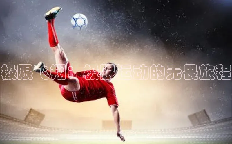 极限飞翔：极限运动的无畏旅程