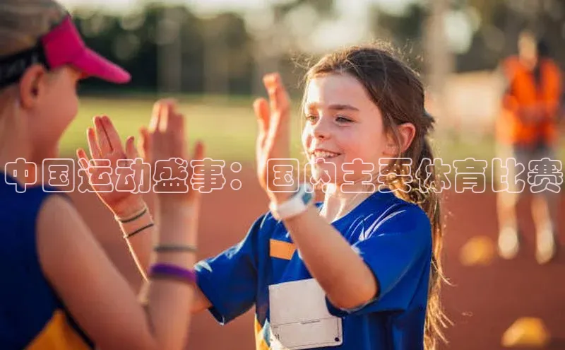 中国运动盛事：国内主要体育比赛