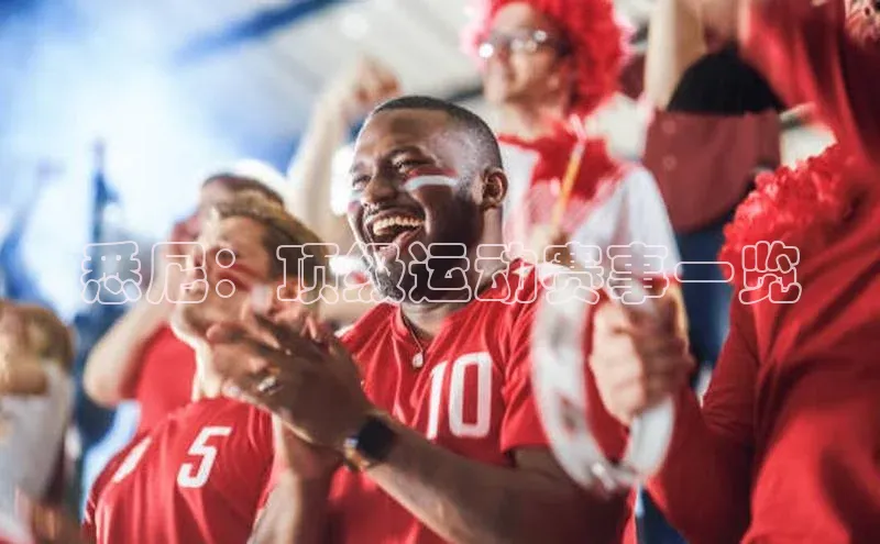 悉尼：顶级运动赛事一览