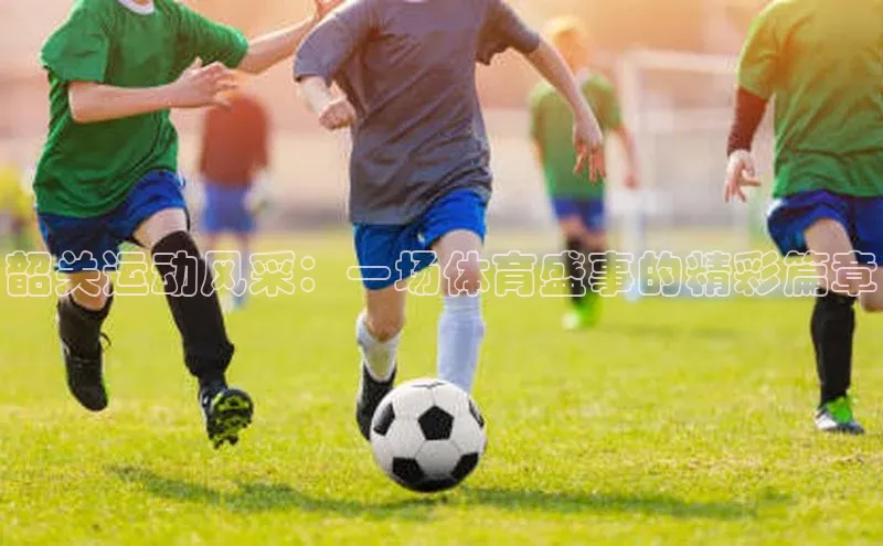 韶关运动风采：一场体育盛事的精彩篇章