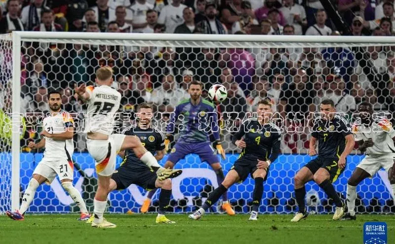 淳平运动赛事直播：现场体验的极致盛宴