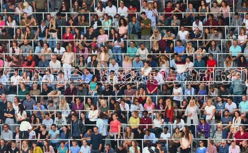 岳阳运动会：精彩赛事与激动时刻