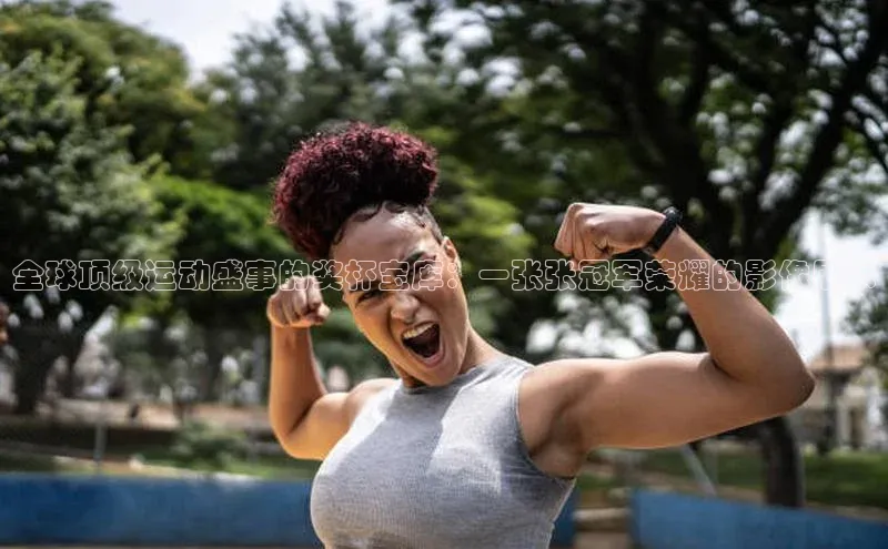 全球顶级运动盛事的奖杯宝库：一张张冠军荣耀的影像展示