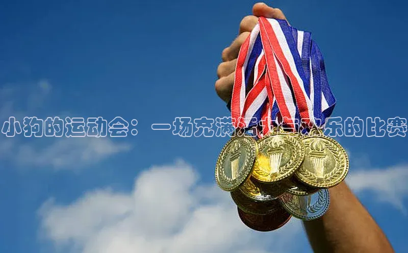 小狗的运动会：一场充满活力与欢乐的比赛