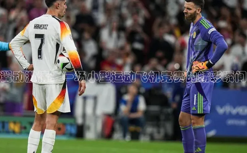 翼动激情：一场小型运动飞机竞赛的精彩瞬间