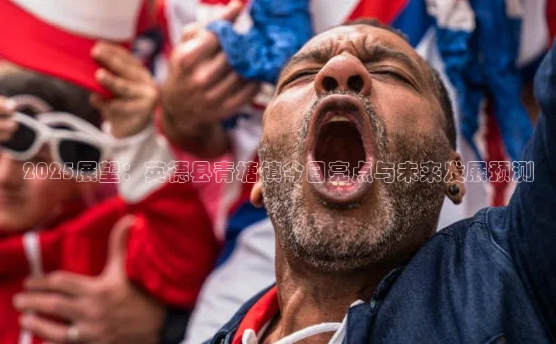 2025展望：英德县青塘镇今日亮点与未来发展预测