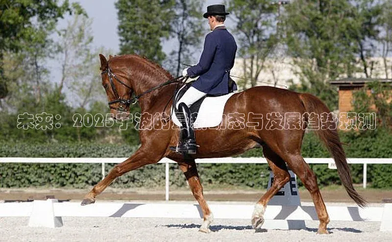 未来：2025宁波的最新动态与发展趋势预测