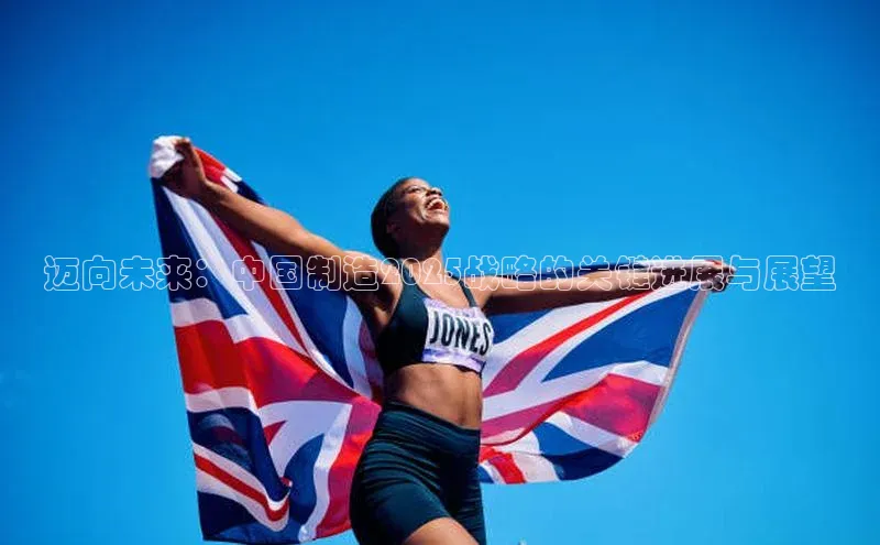 迈向未来：中国制造2025战略的关键进展与展望