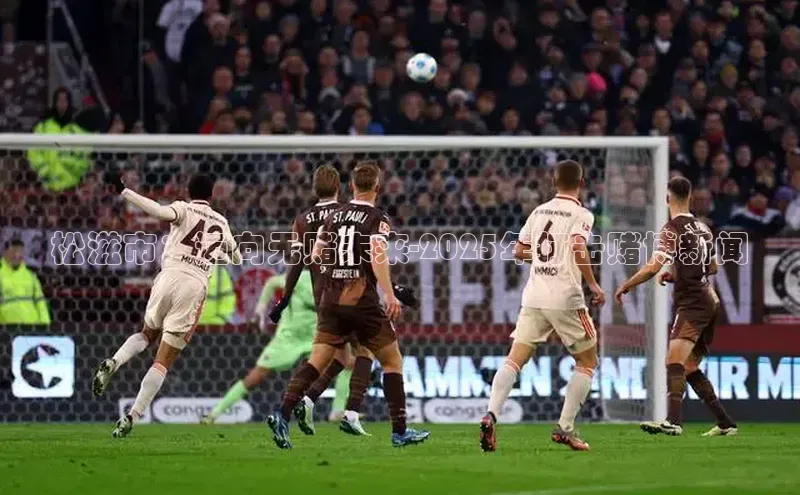 松滋市：迈向无赌未来-2025年打击赌博新闻