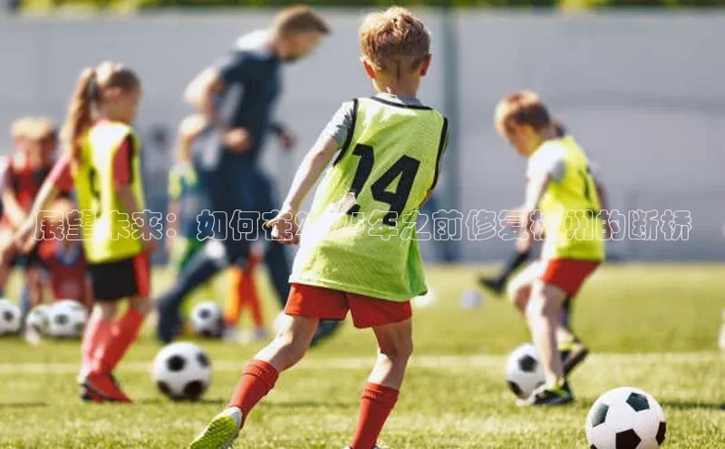 展望未来：如何在2025年之前修复杭州的断桥