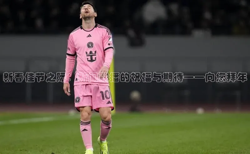 新春佳节之际：新闻联播的祝福与期待——向您拜年